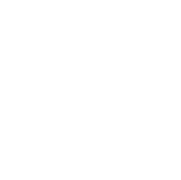 Ícone de Audiovisual Profissional